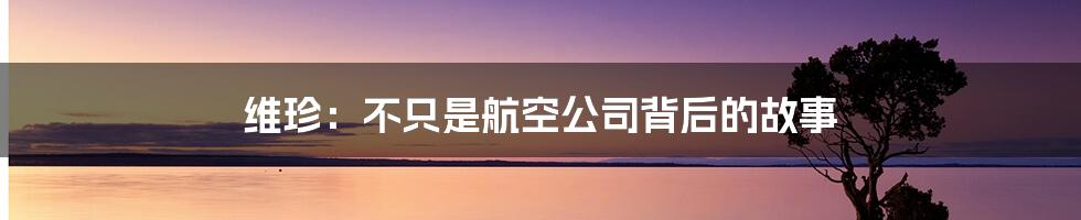 维珍:不只是航空公司背后的故事