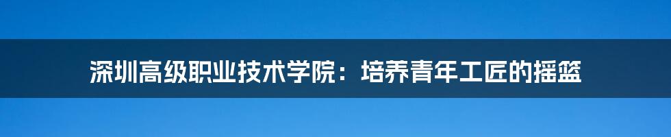 深圳高级职业技术学院:培养青年工匠的摇篮