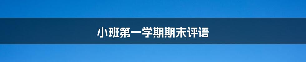 小班第一学期期末评语