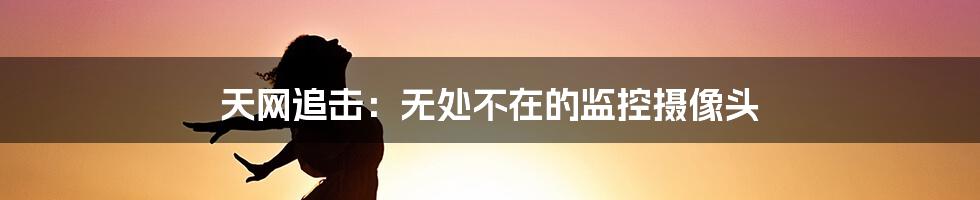 天网追击:无处不在的监控摄像头