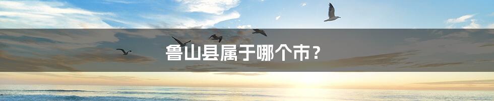 鲁山县属于哪个市?