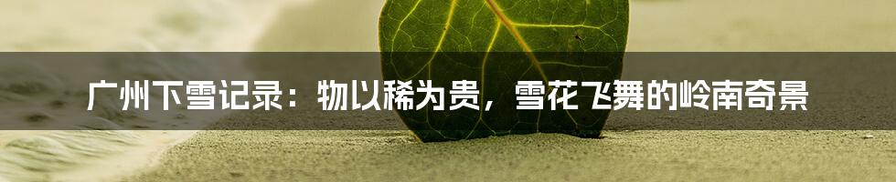 广州下雪记录:物以稀为贵,雪花飞舞的岭南奇景