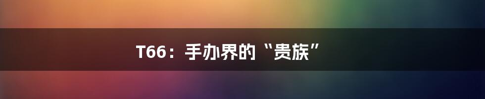 T66:手办界的“贵族”