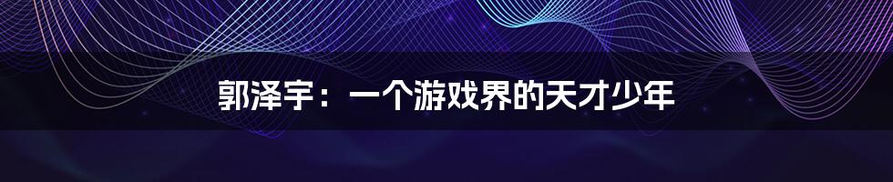 郭泽宇：一个游戏界的天才少年