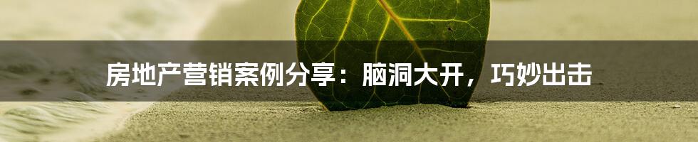 房地产营销案例分享:脑洞大开,巧妙出击