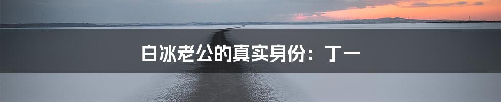 白冰老公的真实身份:丁一