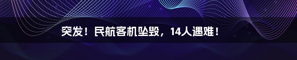 突发!民航客机坠毁,14人遇难!