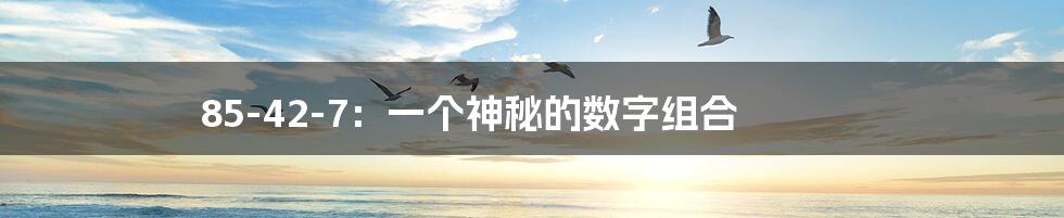 85-42-7:一个神秘的数字组合