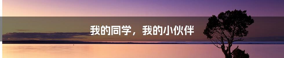 我的同学,我的小伙伴