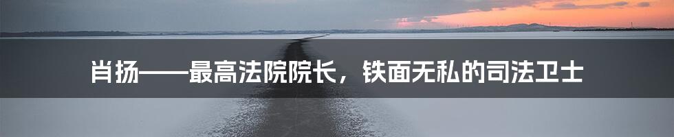 肖扬——最高法院院长,铁面无私的司法卫士