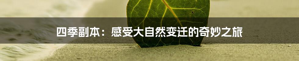 四季副本:感受大自然变迁的奇妙之旅
