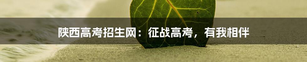 陕西高考招生网:征战高考,有我相伴