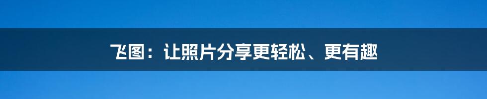 飞图:让照片分享更轻松、更有趣