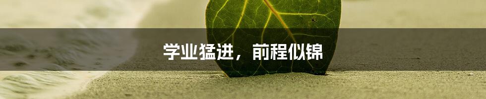学业猛进,前程似锦