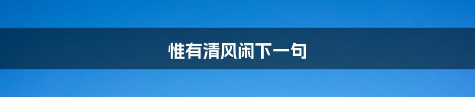 惟有清风闲下一句