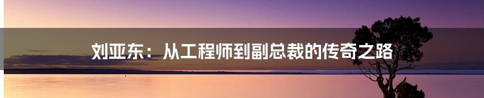 刘亚东:从工程师到副总裁的传奇之路