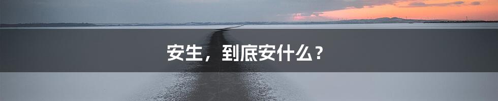 安生,到底安什么?