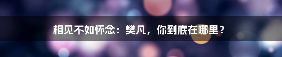 相见不如怀念:樊凡,你到底在哪里?