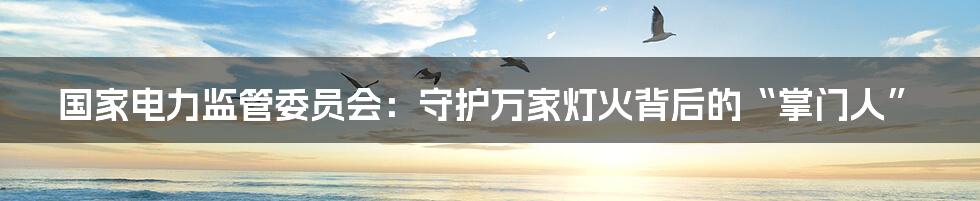 国家电力监管委员会:守护万家灯火背后的“掌门人”