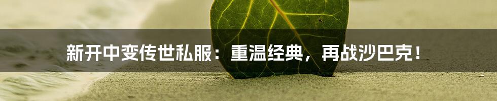 新开中变传世私服:重温经典,再战沙巴克!