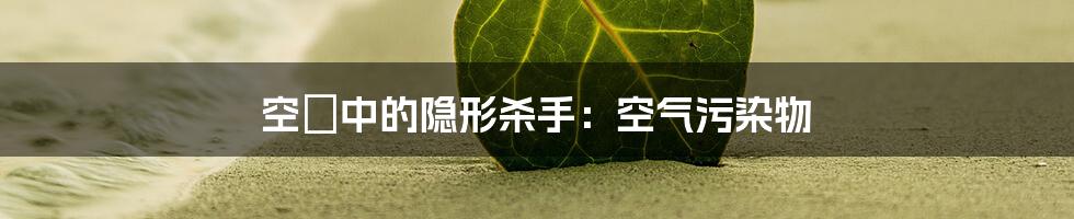 空気中的隐形杀手:空气污染物