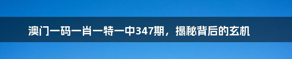 澳门一码一肖一特一中347期,揭秘背后的玄机