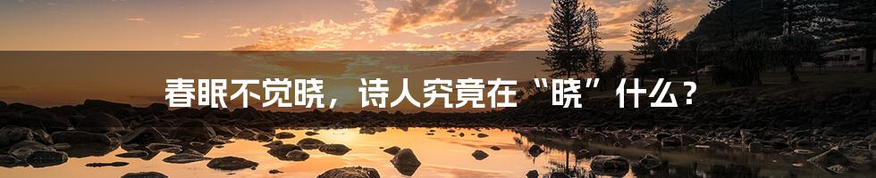 春眠不觉晓,诗人究竟在“晓”什么?