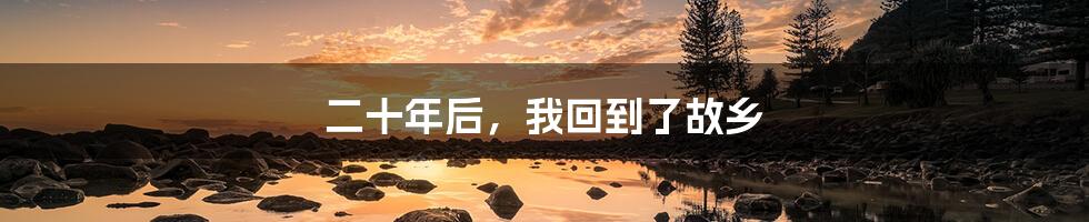二十年后,我回到了故乡