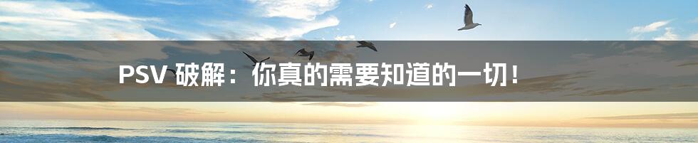 PSV 破解：你真的需要知道的一切！