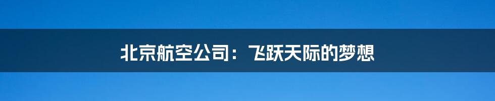 北京航空公司：飞跃天际的梦想