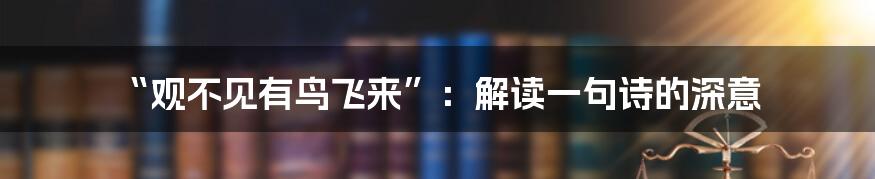 “观不见有鸟飞来”：解读一句诗的深意
