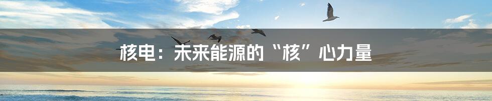 核电:未来能源的“核”心力量