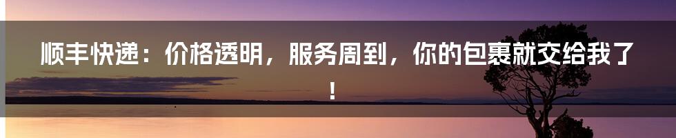 顺丰快递:价格透明,服务周到,你的包裹就交给我了!