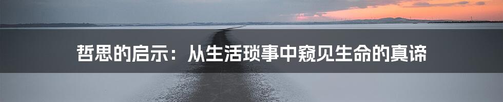 哲思的启示:从生活琐事中窥见生命的真谛