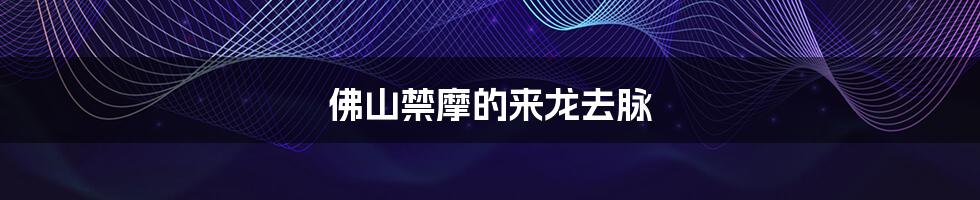 佛山禁摩的来龙去脉
