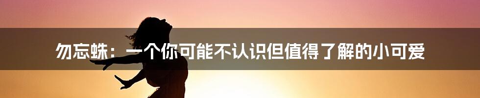 勿忘蛛:一个你可能不认识但值得了解的小可爱