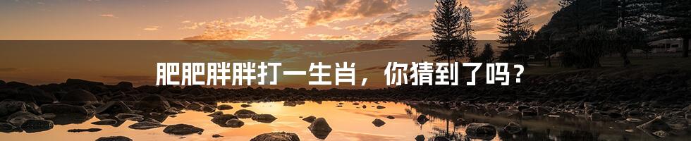 肥肥胖胖打一生肖,你猜到了吗?
