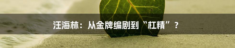 汪海林:从金牌编剧到“杠精”?