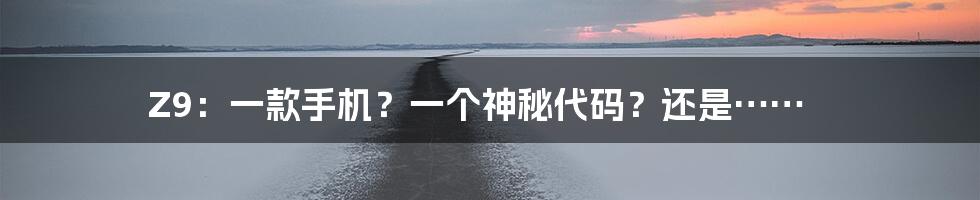 Z9:一款手机?一个神秘代码?还是……