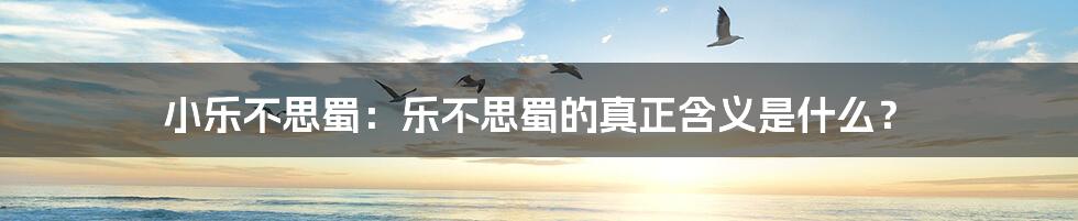 小乐不思蜀:乐不思蜀的真正含义是什么?