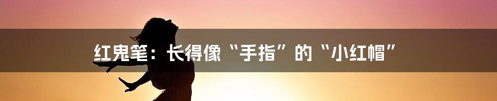 红鬼笔:长得像“手指”的“小红帽”