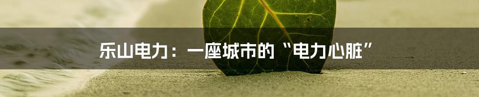 乐山电力:一座城市的“电力心脏”
