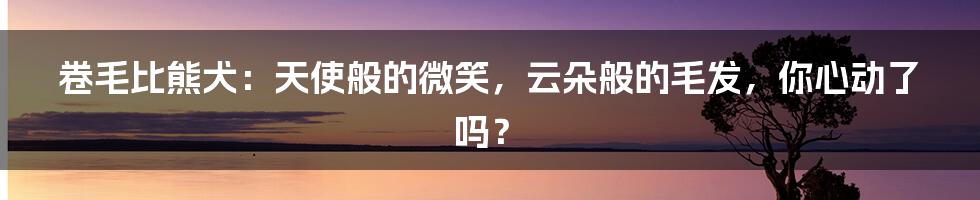 卷毛比熊犬:天使般的微笑,云朵般的毛发,你心动了吗?