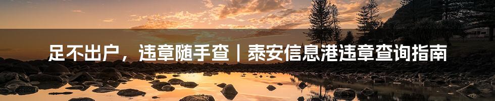 足不出户,违章随手查|泰安信息港违章查询指南
