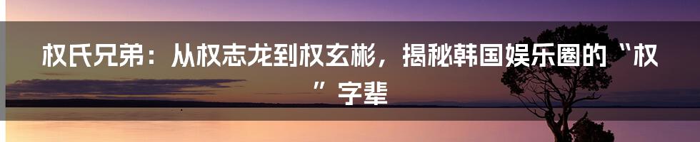 权氏兄弟:从权志龙到权玄彬,揭秘韩国娱乐圈的“权”字辈