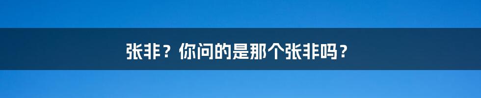 张非?你问的是那个张非吗?