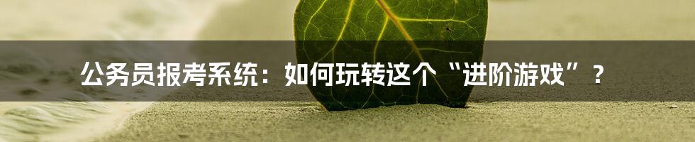 公务员报考系统:如何玩转这个“进阶游戏”?