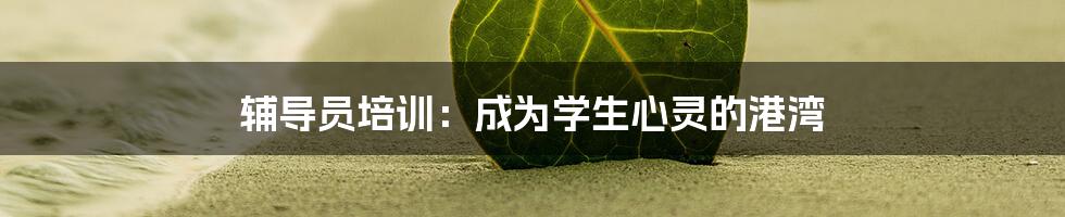 辅导员培训:成为学生心灵的港湾
