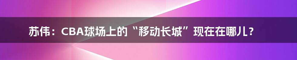 苏伟:CBA球场上的“移动长城”现在在哪儿?