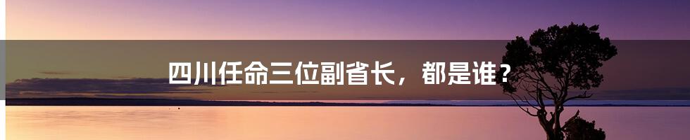 四川任命三位副省长,都是谁?